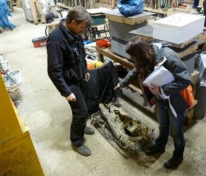 Sam and Julie National Trust & Dorking Museum inspect the plane