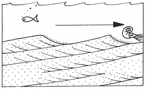 Lower: Geophantasmogram to show how cross-bedding forms in sand. Prevailing westerly dips of the cross-bedding in the caves and adjacent quarries and outcrops indicate tidal currents flowing from Redhill to Guildford, some 120 million years ago.