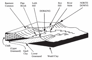 Upper: Geophantasmogram of Dorking and its surroundings showing the relationship between geology and scenery. Interbedded sedimentary strata of the Cretaceous Period dip north forming the northern limb of the Wealden anticline, the southern limb of the London basin. Wellcemented hard strata form hills, soft sediments form valleys. Dorking’s caves were excavated in the soft Folkestone Sands at the top of the Lower Greensand.